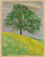 Baum auf Wiese, 1916, Ölbild 40x32cm