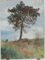 Baum auf Wiese, 1915, Ölbild 35x26cm