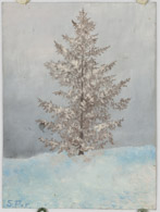 Tanne im Winter, 1915, Ölbild 35x26cm