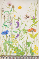 Feldblumen, Ölbild 33x22 cm
