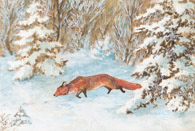 Fuchs im Winter, Tusche 10x15 cm