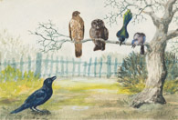 Vogelgruppe, Tusche 10x15 cm