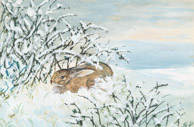 Hase im Schnee, Tusche 10x15 cm