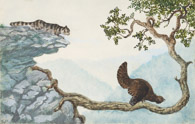 Wildkatze und Auerhahn, Tusche 11x17 cm
