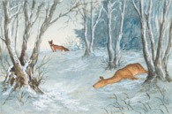 Totes Reh und Fuchs, Tusche 10x15 cm