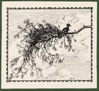 Vogel auf Ast, 1918, Federzeichnung 8x9 cm