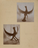kleiner Adler ca.1926